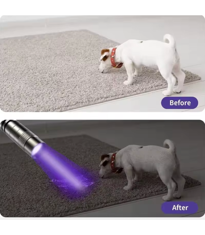 395nm UV Mini Black Pen Torch Light detect Detection Lamp curing repair