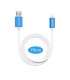 MAGICO RESTORE EASY Cable for iphone / ipad DFU mode  restore  recovery